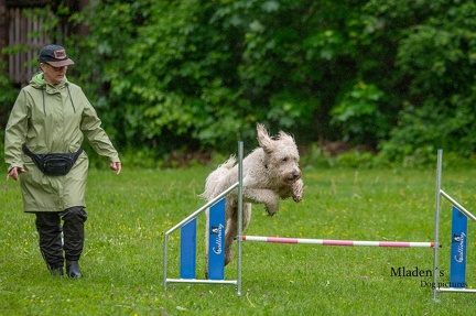 k-RO-Seminar Patsch 31-05-2024 19