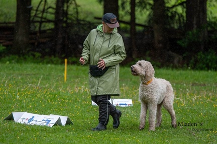 k-RO-Seminar Patsch 31-05-2024 20