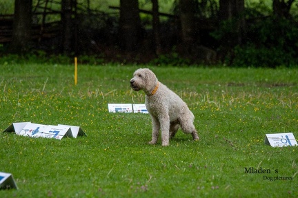 k-RO-Seminar Patsch 31-05-2024 21