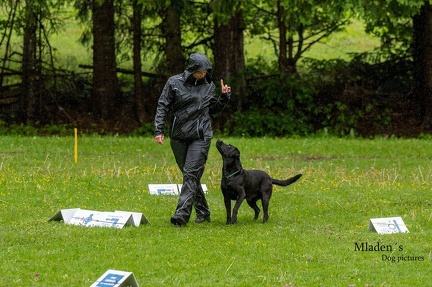 k-RO-Seminar Patsch 31-05-2024 23