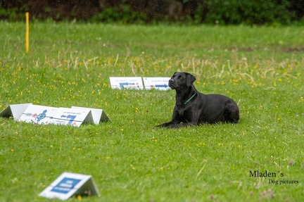 k-RO-Seminar Patsch 31-05-2024 24