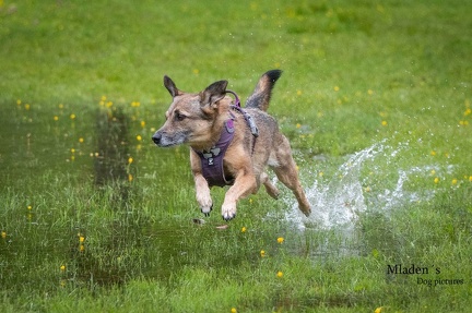 k-RO-Seminar Patsch 31-05-2024 25