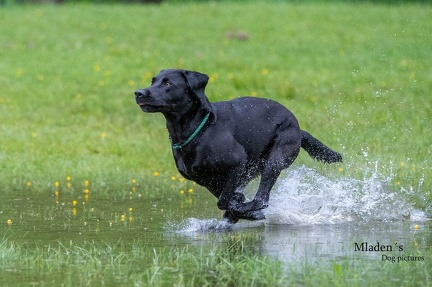 k-RO-Seminar Patsch 31-05-2024 27