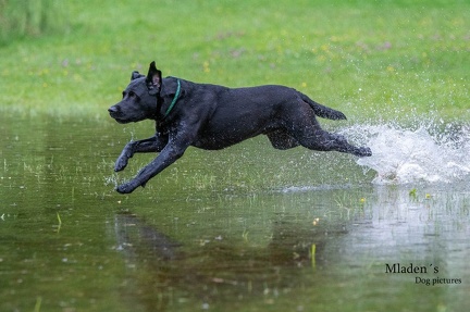 k-RO-Seminar Patsch 31-05-2024 28