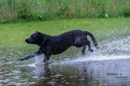 k-RO-Seminar Patsch 31-05-2024 29