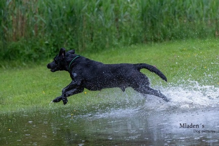 k-RO-Seminar Patsch 31-05-2024 31