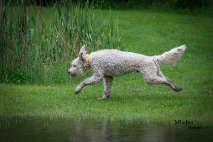 k-RO-Seminar Patsch 31-05-2024 32