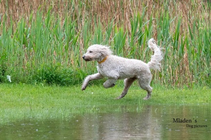 k-RO-Seminar Patsch 31-05-2024 33