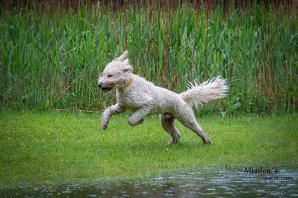 k-RO-Seminar Patsch 31-05-2024 34