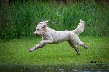 k-RO-Seminar Patsch 31-05-2024 35