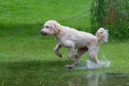 k-RO-Seminar Patsch 31-05-2024 36