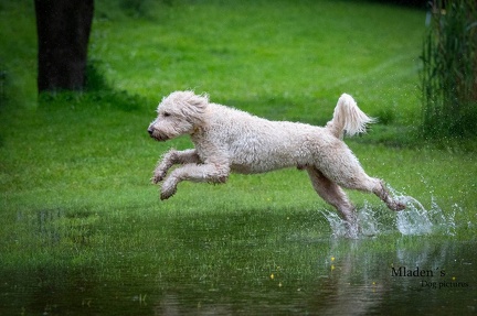 k-RO-Seminar Patsch 31-05-2024 37