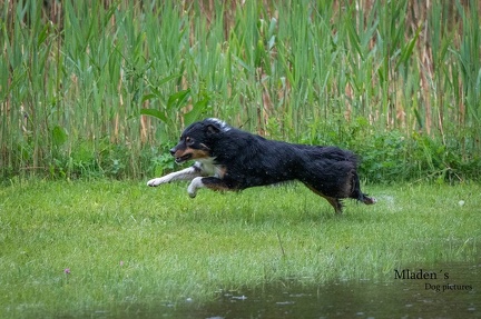 k-RO-Seminar Patsch 31-05-2024 38