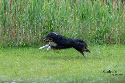 k-RO-Seminar Patsch 31-05-2024 39