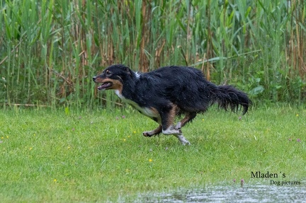 k-RO-Seminar Patsch 31-05-2024 40