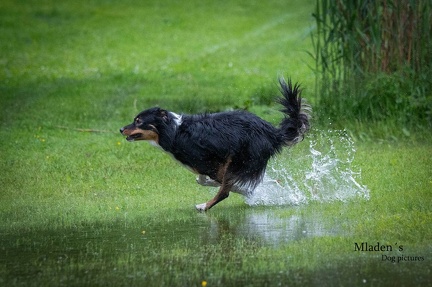 k-RO-Seminar Patsch 31-05-2024 41