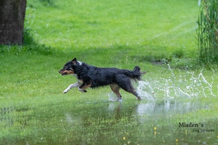 k-RO-Seminar Patsch 31-05-2024 42