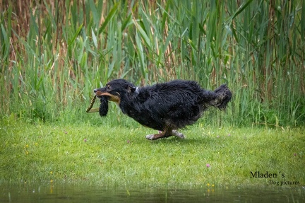 k-RO-Seminar Patsch 31-05-2024 44