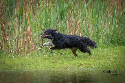 k-RO-Seminar Patsch 31-05-2024 45