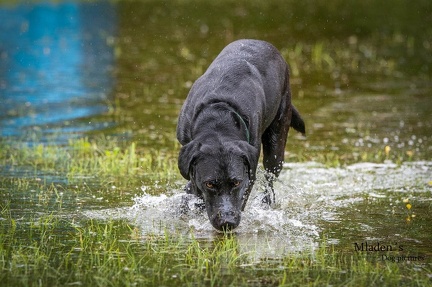 k-RO-Seminar Patsch 31-05-2024 46