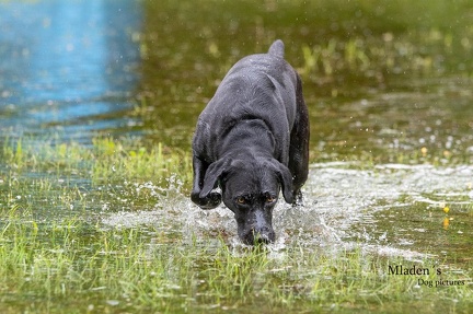 k-RO-Seminar Patsch 31-05-2024 47