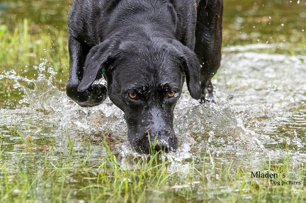 k-RO-Seminar Patsch 31-05-2024 48