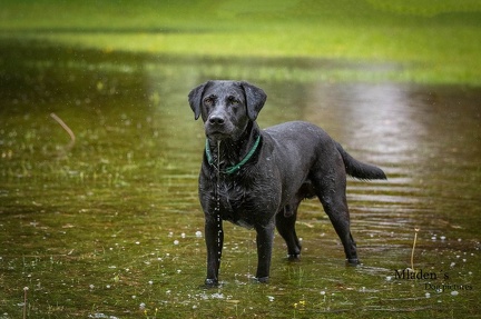 k-RO-Seminar Patsch 31-05-2024 49