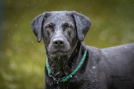 k-RO-Seminar Patsch 31-05-2024 51