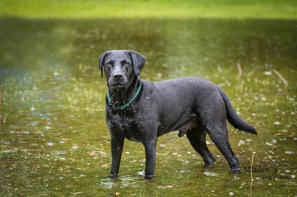 k-RO-Seminar Patsch 31-05-2024 50