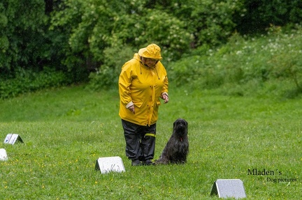 k-RO-Seminar Patsch 31-05-2024 54