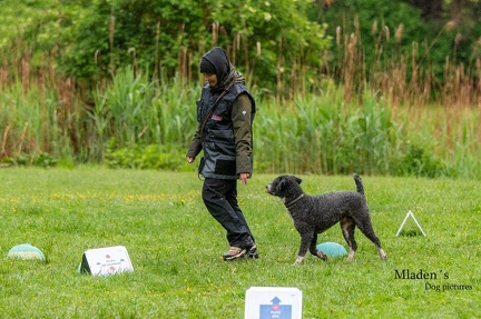 k-RO-Seminar Patsch 31-05-2024 65