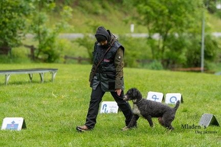 k-RO-Seminar Patsch 31-05-2024 67