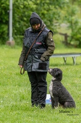 k-RO-Seminar Patsch 31-05-2024 68