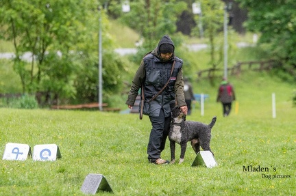 k-RO-Seminar Patsch 31-05-2024 69