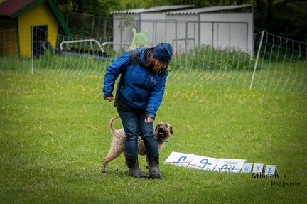 k-RO- Patsch 01-06-2024 08