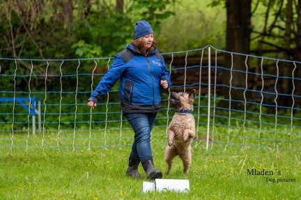 k-RO- Patsch 01-06-2024 13