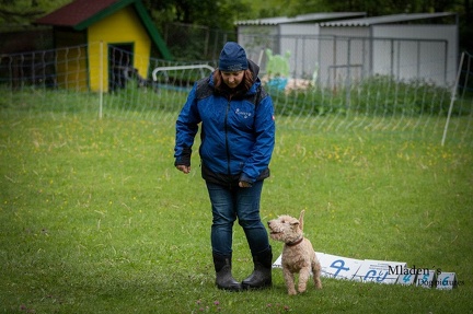 k-RO- Patsch 01-06-2024 22