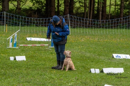 k-RO- Patsch 01-06-2024 27