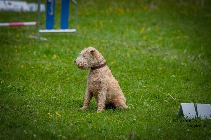 k-RO- Patsch 01-06-2024 28