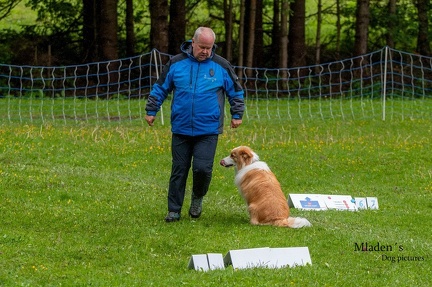 k-RO- Patsch 01-06-2024 31