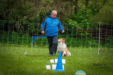 k-RO- Patsch 01-06-2024 32