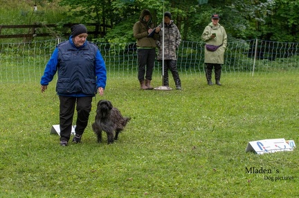 k-RO- Patsch 01-06-2024 48