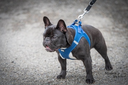 k-HVD Allgemeintraining 15-06-2024 01