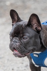 k-HVD Allgemeintraining 15-06-2024 02