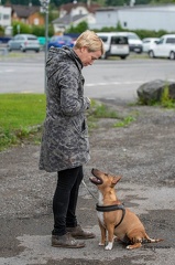 k-HVD Allgemeintraining 15-06-2024 04