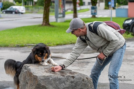 k-HVD Allgemeintraining 15-06-2024 05