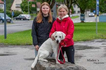 k-HVD Allgemeintraining 15-06-2024 16
