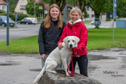 k-HVD Allgemeintraining 15-06-2024 17