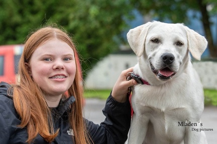 k-HVD Allgemeintraining 15-06-2024 21