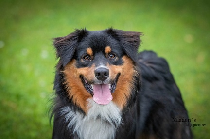 k-HVD Allgemeintraining 15-06-2024 30